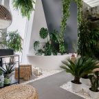 Style Your Bathroom With Plant Hangers